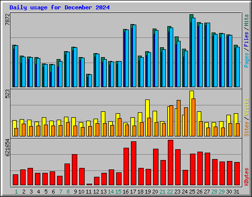 Daily usage for December 2024