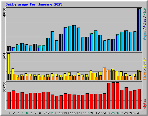 Daily usage for January 2025