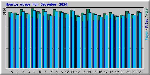 Hourly usage for December 2024