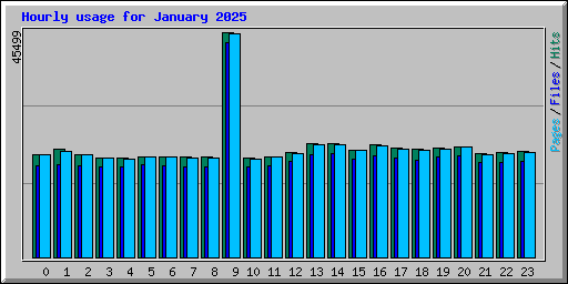 Hourly usage for January 2025