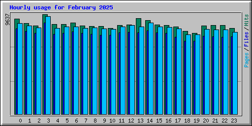 Hourly usage for February 2025