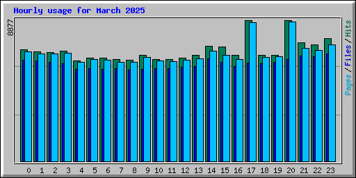 Hourly usage for March 2025