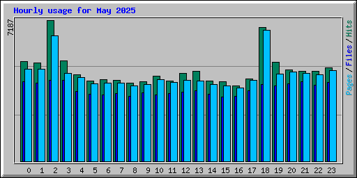 Hourly usage for May 2025