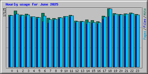 Hourly usage for June 2025