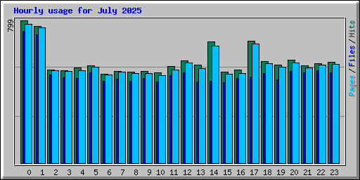 Hourly usage for July 2025