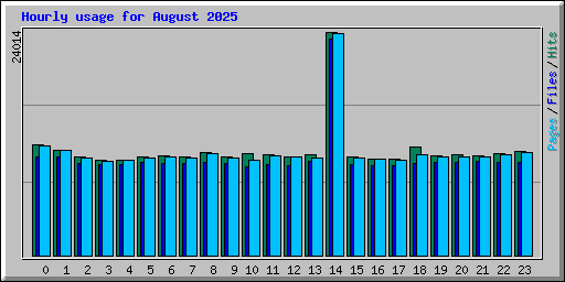 Hourly usage for August 2025