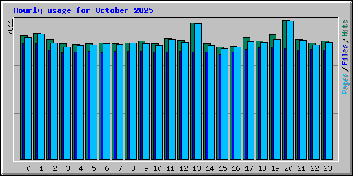 Hourly usage for October 2025