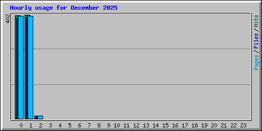 Hourly usage for December 2025