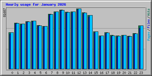 Hourly usage for January 2026