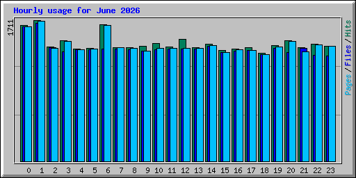 Hourly usage for June 2026