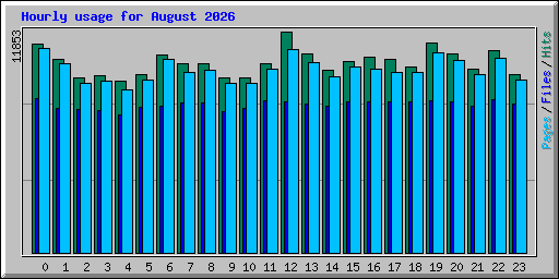 Hourly usage for August 2026